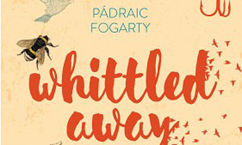 Whittled Away @ Brockagh Resource Centre, Wicklow | County Wicklow | Ireland