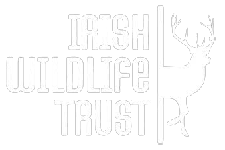 logo Irish Wildlife Trust