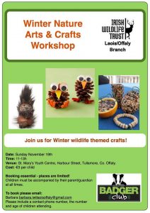 Badger Club Winter Arts and Crafts - Offaly @ St. Mary's Youth Centre 