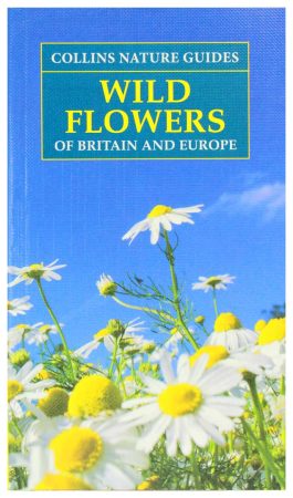 Wild flowers guide