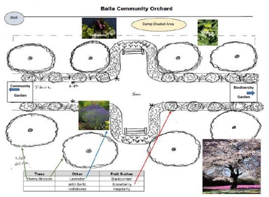 Vote: People Together for Biodiversity Award - Small Group - Irish ...