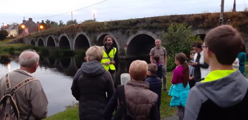 Goresbridge Batwalk
