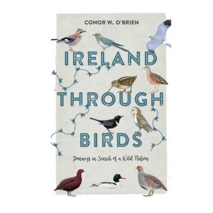 Green Drinks: Ireland through Birds - Book Launch