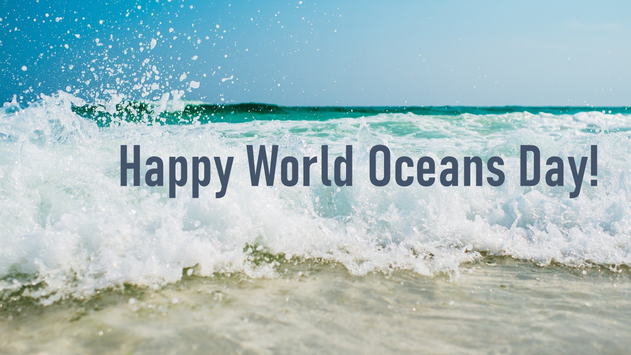 World Oceans Day Irish Wildlife Trust