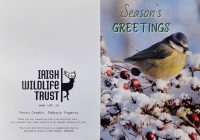 IWT Christmas Cards - Bluetit - Image 3