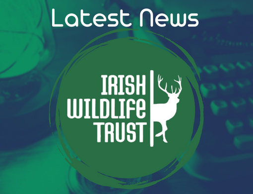 Irish Wildlife Trust - Home Irish Wildlife Trust - Home