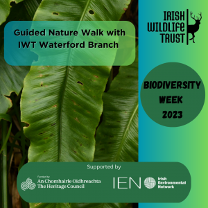 Guided Nature Walk with IWT Waterford Branch – National Biodiversity Week