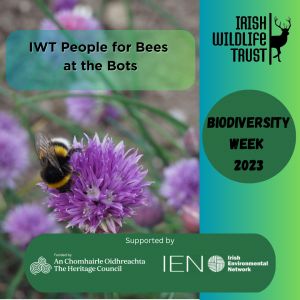 IWT People for Bees at the Bots - National Biodiversity Week 