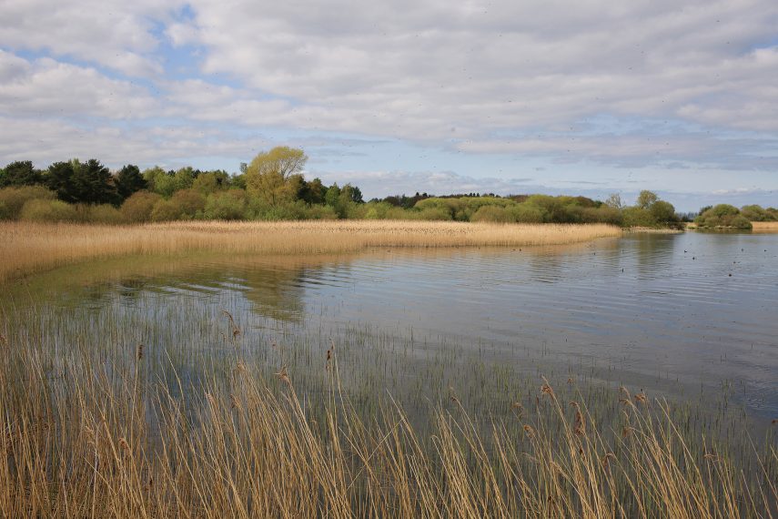 World Wetlands Day 2024 - Irish Wildlife Trust