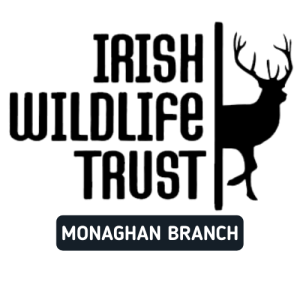 Intro to Biodiversity Recording - IWT Monaghan Branch