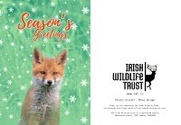 IWT Christmas Cards - Fox MB - Image 3