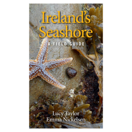 Ireland's Seashore