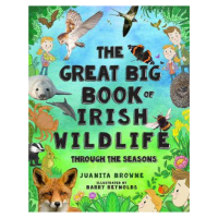 The Great Big Book of Irish Wildlife Through the Season