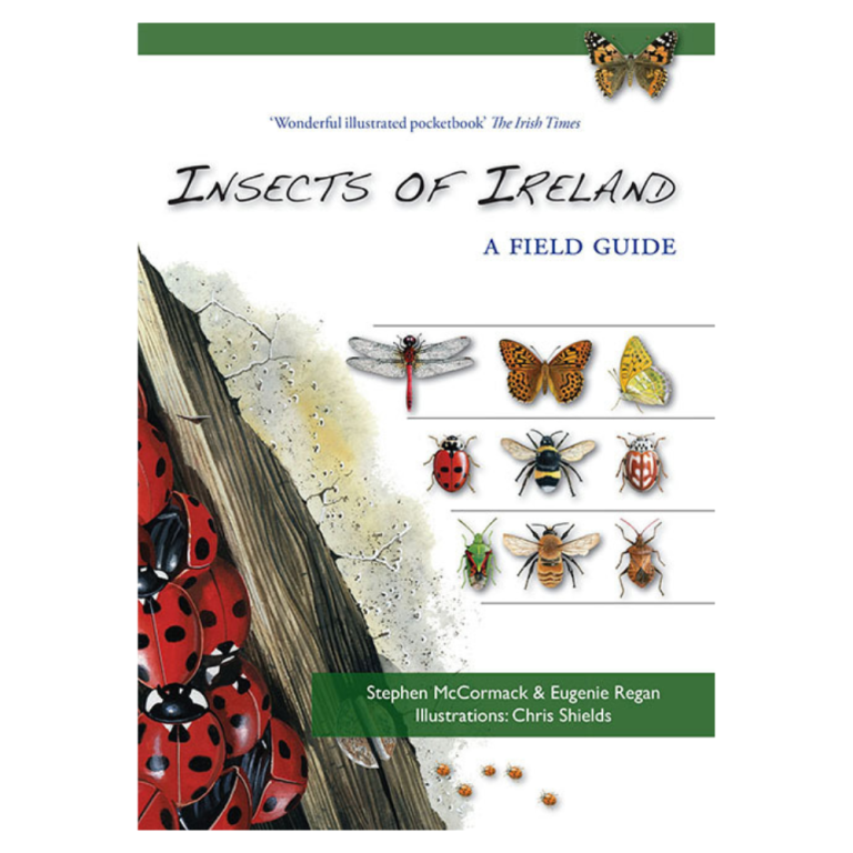 Ire Insect Insects of Ireland - Irish Wildlife Trust