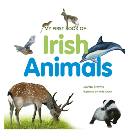My First Book of Irish Animals