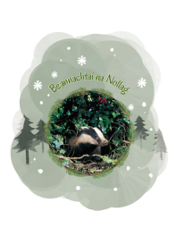 IWT Christmas Cards (Pack of 5) - Badger