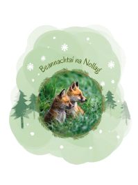IWT Christmas Cards (Pack of 5) - Foxes