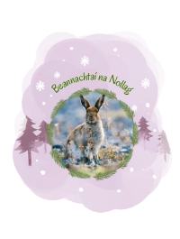 IWT Christmas Cards (Pack of 5) - Irish Hare