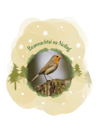 IWT Christmas Cards (Pack of 5) - Robin