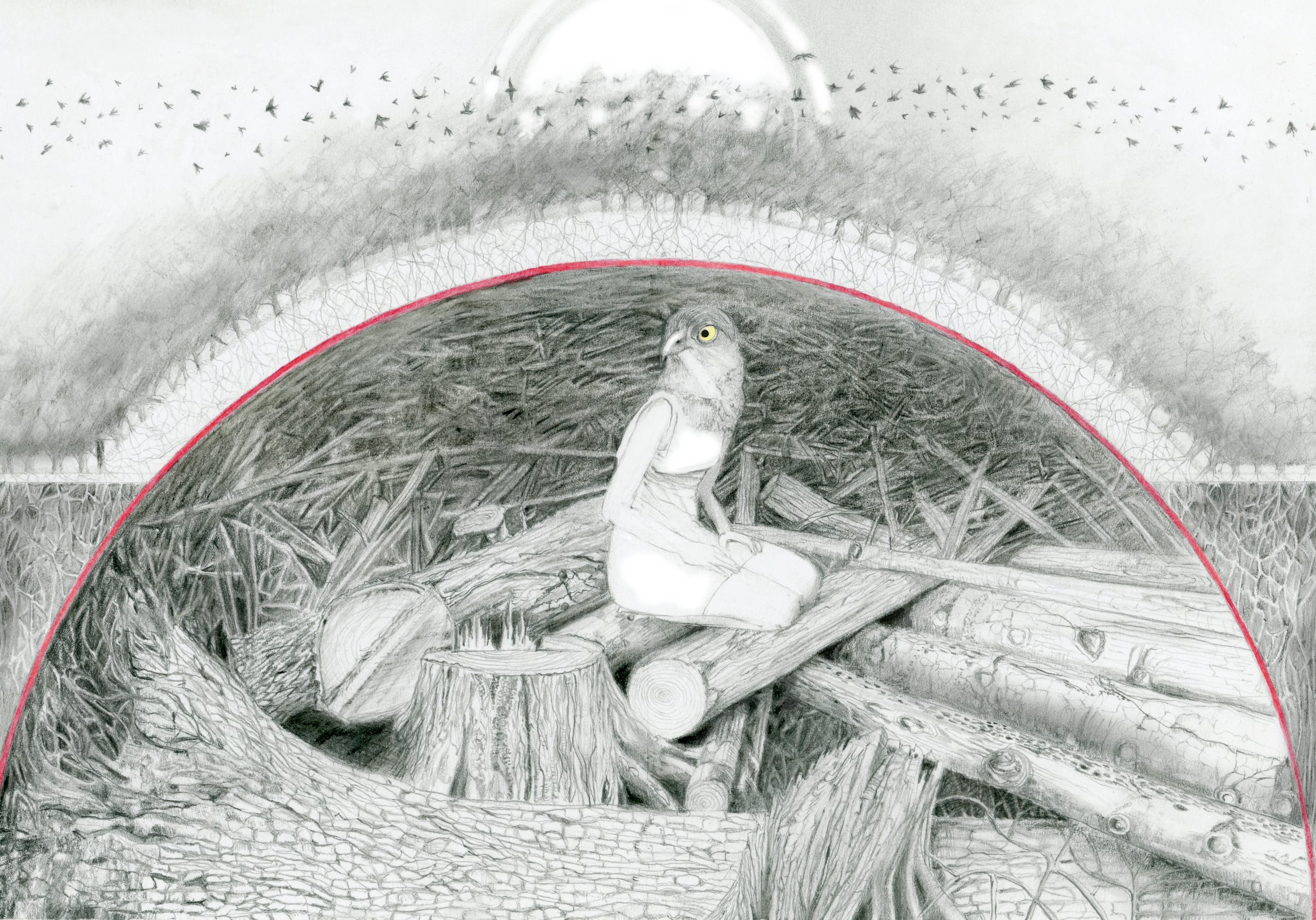 A pencil sketch of a figure sitting hunched under the ground. The body is human but the head is that of a Sparrow Hawk. Their head is turned to the left. They are surrounded by chopped wood and a single tree stump. The mound is encircled by a red line. Above, there are trees and birds flying overhead.